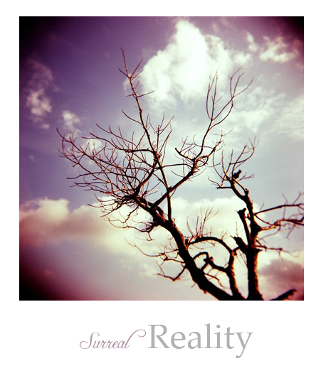 Surreal_Reality_by_Xingz